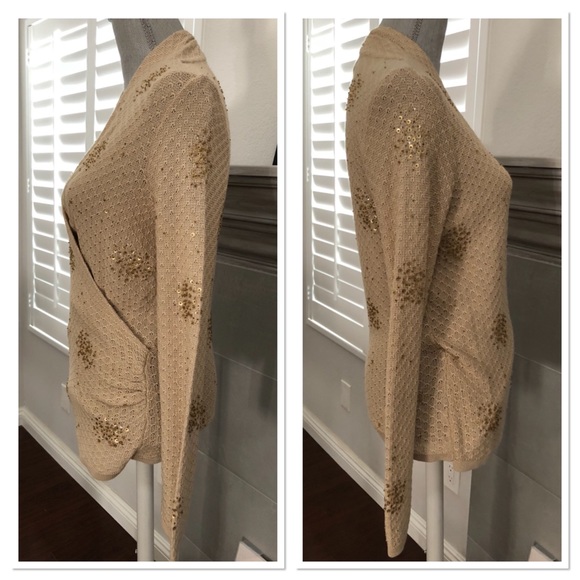Ann Taylor silk/cotton with sequins sweater - Picture 2 of 4